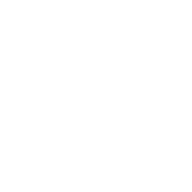 rehab rezk white transparent